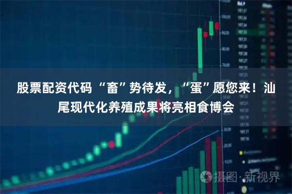 股票配资代码 “畜”势待发，“蛋”愿您来！汕尾现代化养殖成果将亮相食博会